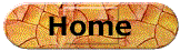 angelhomebutton.gif (4463 bytes)